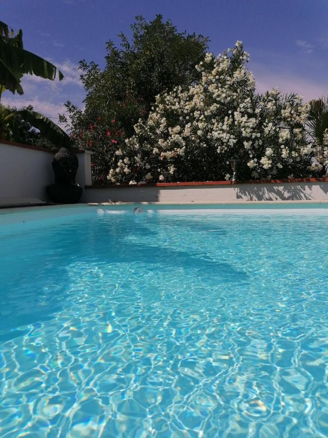 La Maison D'Hotes Du Moulin Lagardelle-sur-Leze ภายนอก รูปภาพ